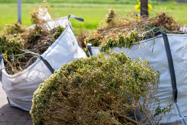 Best Affordable Junk Removal Services  in Reed Creek, GA