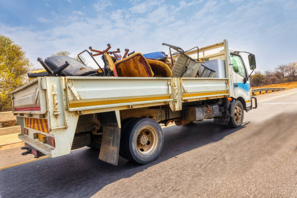 Yard Cleanup Services in Reed Creek, GA